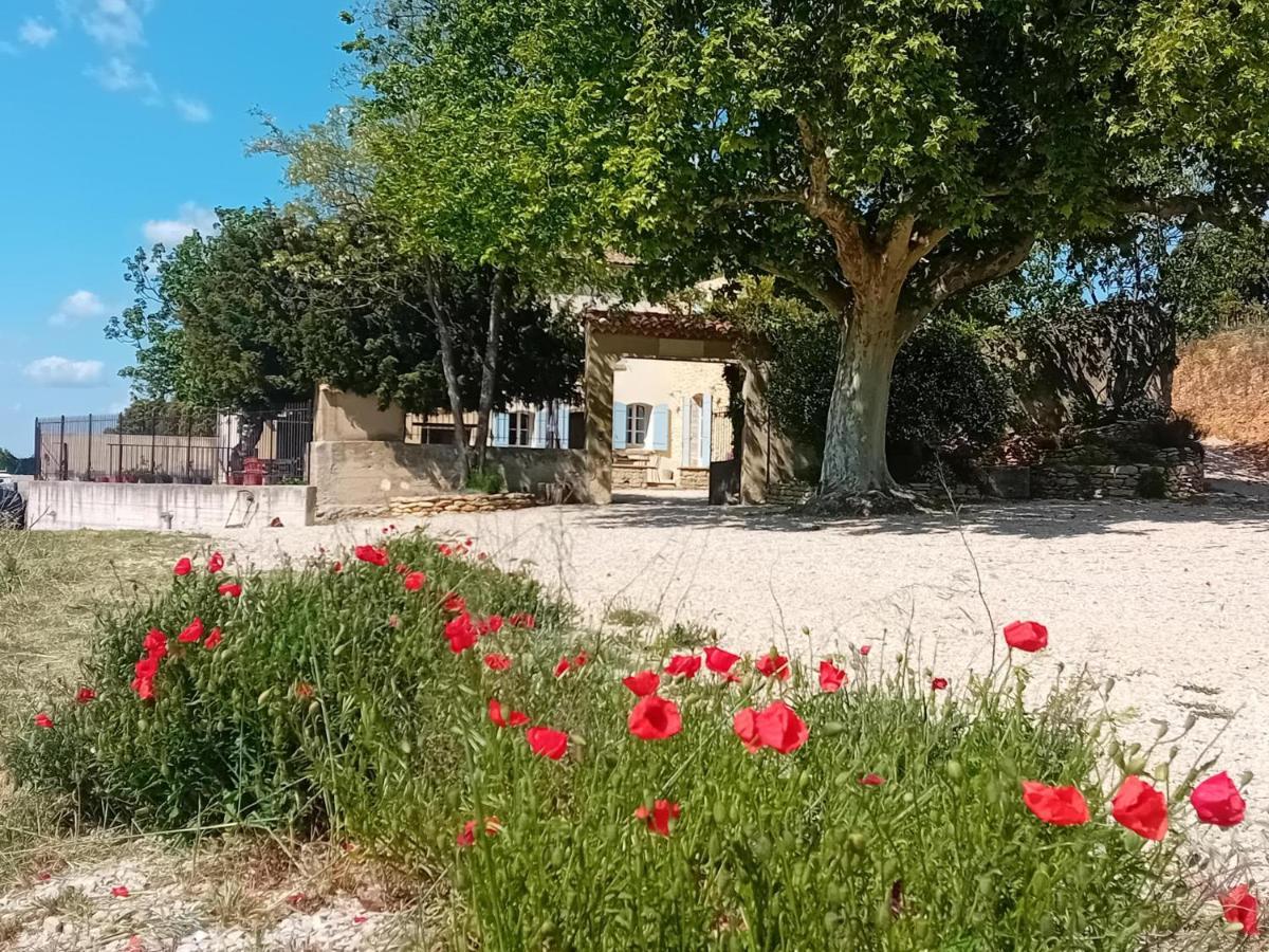 Villa Ferme de l'Arnesque à Châteauneuf-du-Pape Extérieur photo