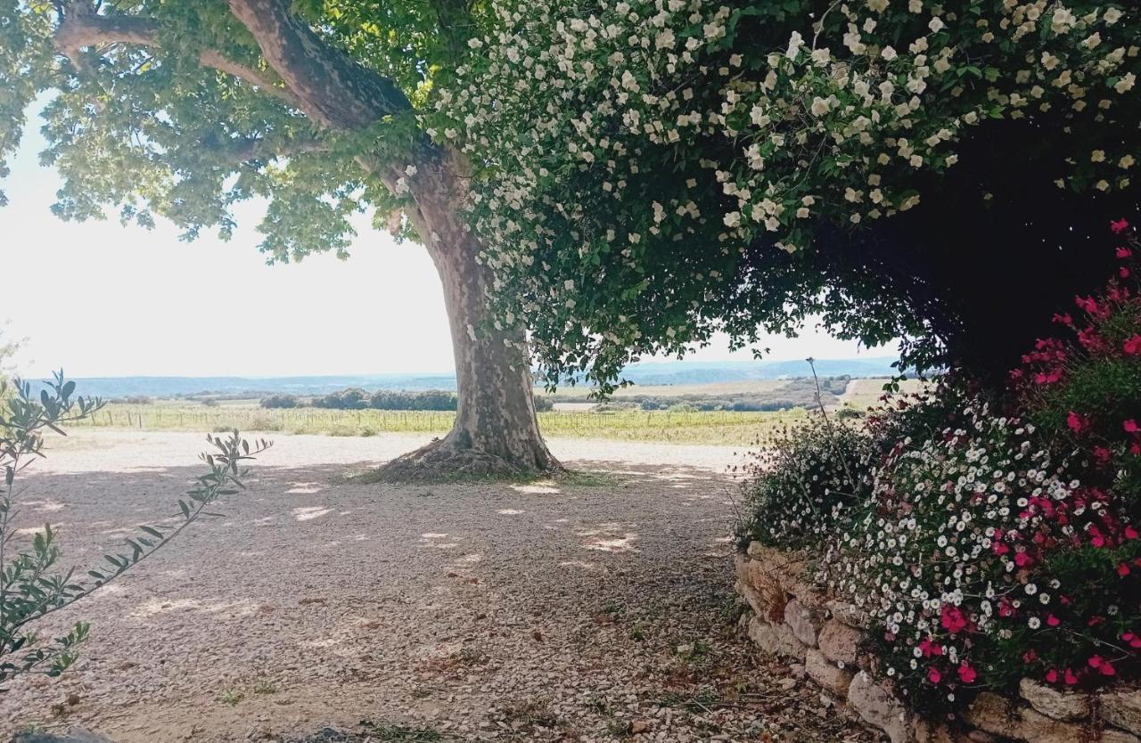 Villa Ferme de l'Arnesque à Châteauneuf-du-Pape Extérieur photo