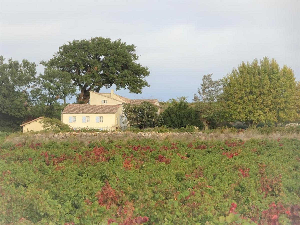 Villa Ferme de l'Arnesque à Châteauneuf-du-Pape Extérieur photo